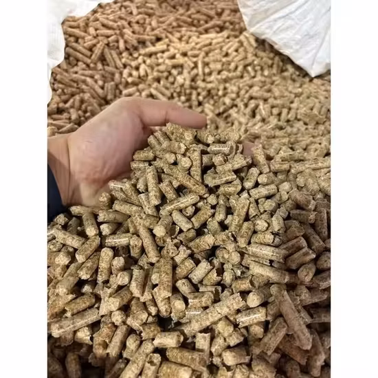 Biofuel Energy Rice Husk Sawdust Bamboo Powder Tree Branches Granulator Briquette Press Machine / Ring Flat Die 1t/H 2t Agriculture Biomass Wood Pellet Machine