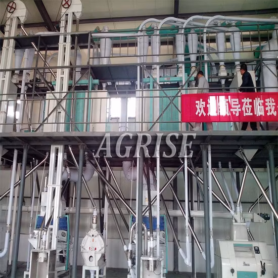 40-50 Mesh Human and Animal Maize Flour Grinding Machine Hammer Mill