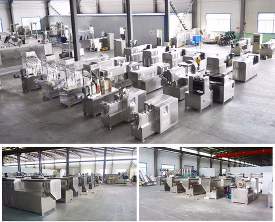 Animal Aquarium Pet Dog Cat Floating Fish Feed Pellet Production Machine Snacks Food Processing Making Extrusion Line